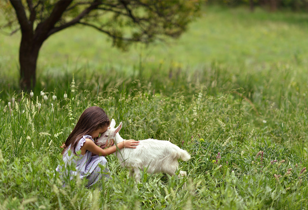 A little girl crouches down in a grassy field to pet a lamb
